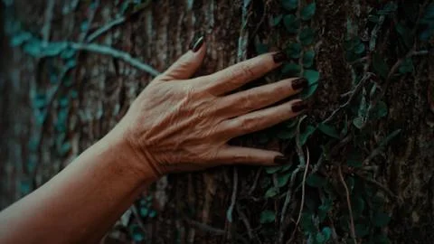 Close-up of an elderly hand with dark nail polish touching a tree trunk Foto stock
