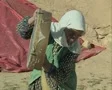 Close up of elderly woman pouring grain SD Footage