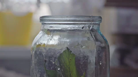 Close-up, Elderly Woman's Hand Throws Into jar Sliced Zucchini For Marinade Stock Footage 158323787