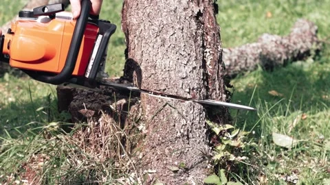 Close-up of electric saw cuts down apple tree Stock Footage 139054075