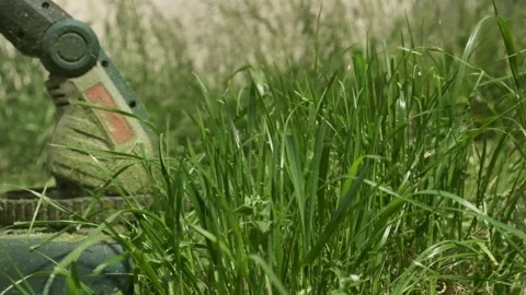 Close-up of electric trimmer cutting grass in slow motion. Dynamic scene with Stock Footage 309914912