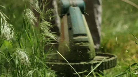 Close-up of electric trimmer cutting grass in slow motion. Dynamic scene with Stock-Footage 310378119