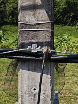 Close up of electrical concrete pole wrapped with nylon mesh snake guard. Stock Photos