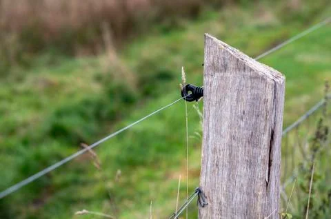 Close up of an electrical fence Stock Photos