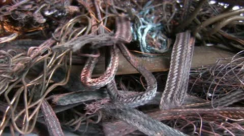 Close up of electrical waste 動画素材 20558076