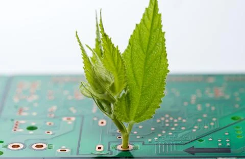 Close up of Electronic Circuits in Technology on  Mainboard Stock Photos