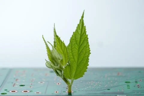 Close up of Electronic Circuits in Technology on  Mainboard Stock Photos