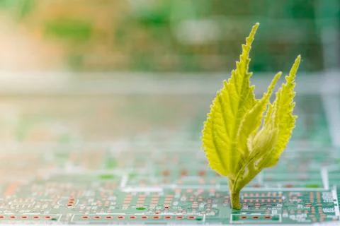 Close up of Electronic Circuits in Technology on  Mainboard Stock-Fotos