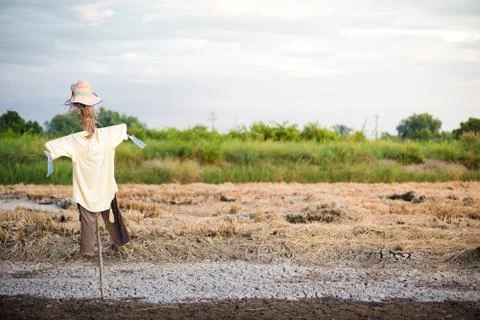 Close up of Electronic Circuits in Technology on  Mainboard Фото