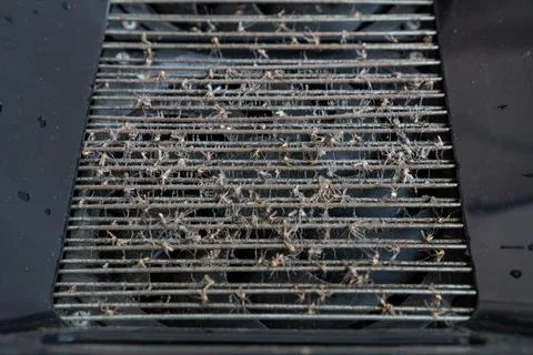Close-up of an electronic insect killer grid with dead mosquitoes Фото