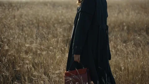 Close up of elegant dressed lady with brown leather purse in hand relishing Stock Footage 242377821
