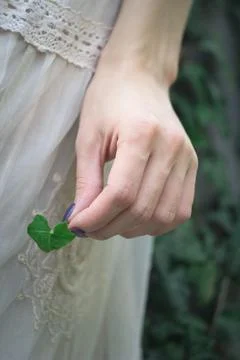 Close up elegant female hand holding tiny plant leaf concept photo Foto stock