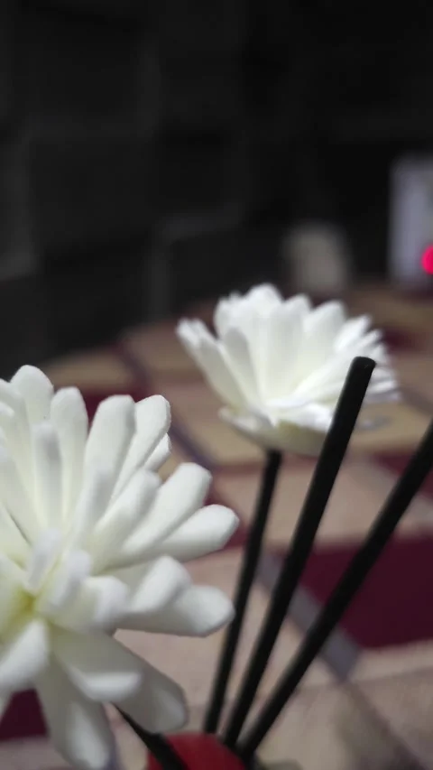 A close-up of an elegant reed diffuser with black sticks and white artificial fl Vídeos de archivo 332473397