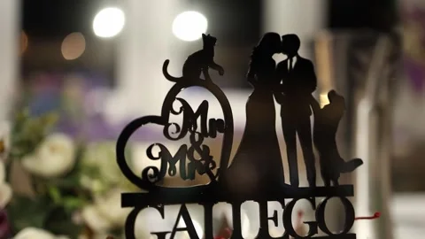 Close-up of Elegant Wedding Cake Topper With Silhouette Bride Groom and Pets Stock Footage 340560679