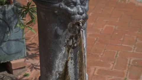 Close-Up of the Elements of the Fountain, a Stream of Water Pours From the Mouth Stock Footage 76884457
