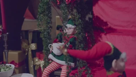 Close up of elf with Christmas decoration in Schilliger in Gland Stock Footage 293480945