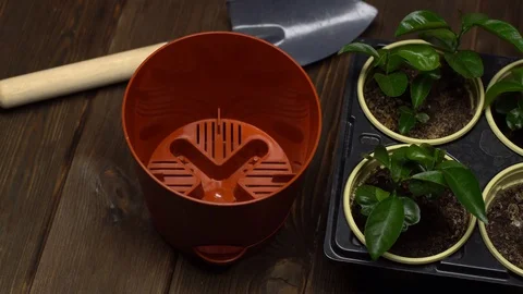 Close up of empty brown pot standing next to trowel and tray of seedlings Stock Footage 128986031