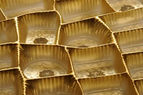 Close up on empty chocolate box Stock Photos