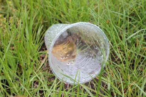 Close up of an empty disposable plastic cup on the grass after the rain. Stock Photos