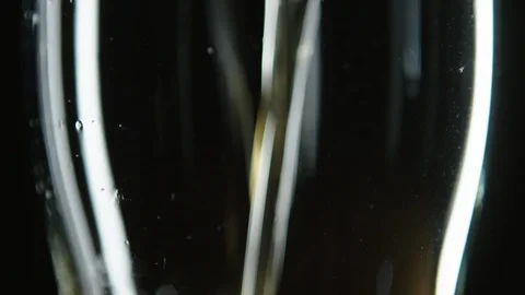 Close up of empty glass being filled with golden beer Stock Footage 93562449