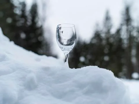Close up of an empty glass placed in snow with pine trees in the background Stock-Fotos