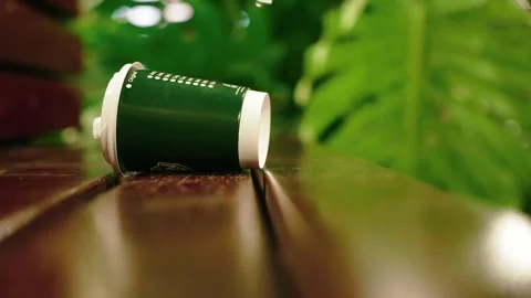 Close-up of empty green disposable discarded littering paper coffee cup lying 스톡 동영상 310225229
