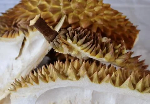 Close Up of Empty Peel of Durian Fruit. Durian is One of The Most Popular and Stock Photos