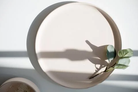Close-up of empty pink plate with leaf Stock Photos