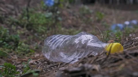 Close Up of Empty Plastic Bottle on Forest Floor Stock Footage 323259631