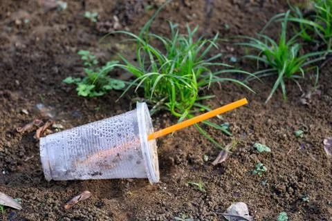 Close up of empty plastic cup on the grass ground Stock Photos