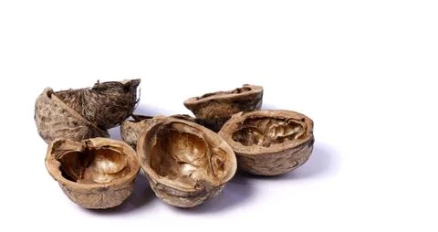 Close-up of an empty walnut shell on a white background. Stock Photos