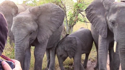 Close Encounter Stockbeeldmateriaal 121026584