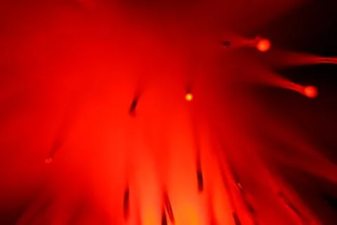 Close up on the ends of a selection of illuminated red fiber optic light stra Stock Photos