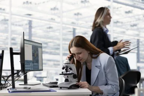 Close up of engineers inspecting silicon wafer substrates at office desk Stock Photos
