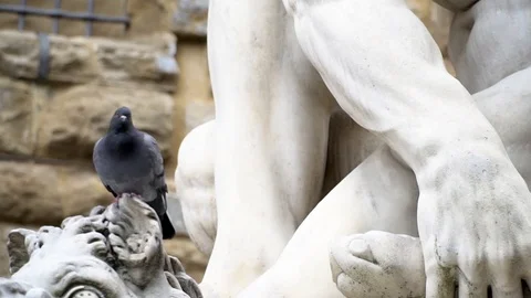 Close up to Ercole e Caco statues outside Palazzo Vecchio in Florence Italy Stock Footage 89781368