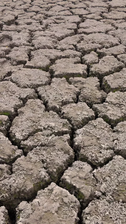 Close-up of erosion of soil in fields during drought, is impact of climate Video stock 328731502