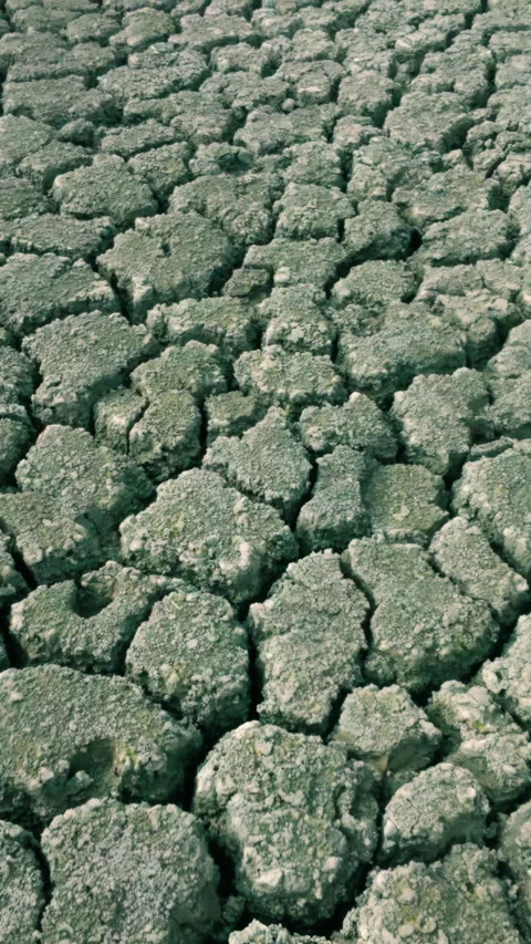 Close-up of erosion of soil in fields during drought, is impact of climate Video stock 331609975