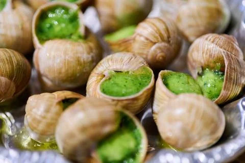 Close up of escargot shells filled with green garlic herb butter on silver tr Stock Photos