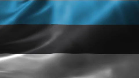 Close-up of the Estonia flag waving in the wind. Estonia national flag waving 4K Stock Footage 245183625