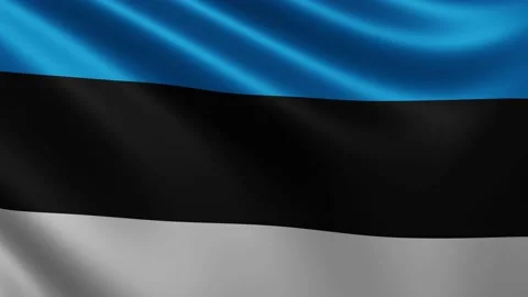 Close-up of the Estonian flag waving in the wind. Estonian national flag waving Stock Footage 218989398