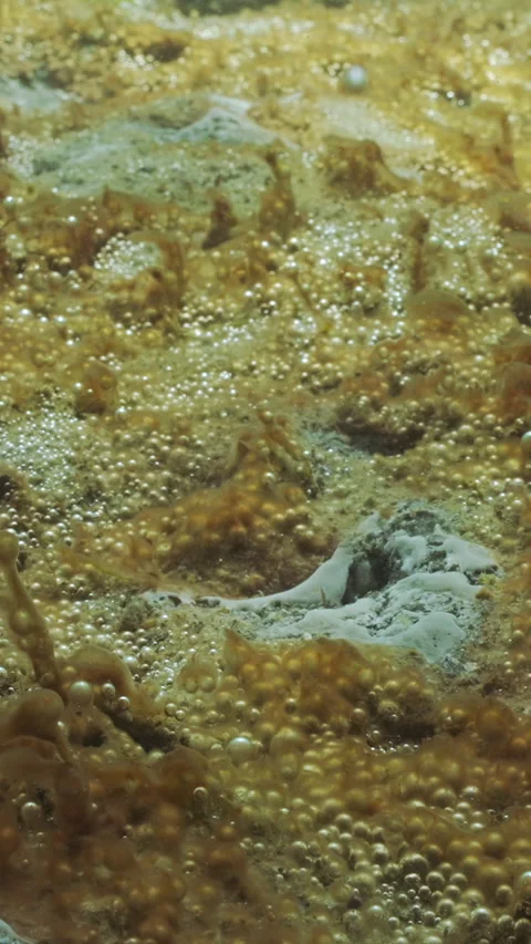 Close-up of Eutrophication hotspot (Hypertrophic zone) on sandy sea bottom Видео 331608517