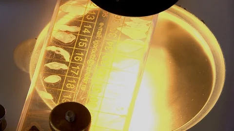 Close-up examination of meat particles under a microscope. Stock Footage 127321098