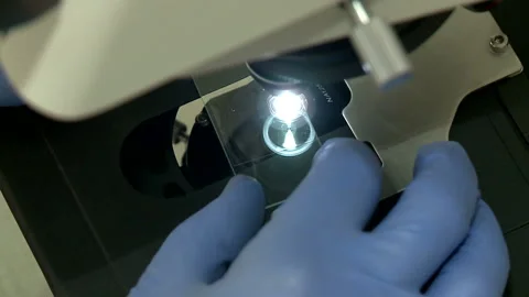 Close up of examining of test sample under the microscope in laboratory. Stock Footage 88818007
