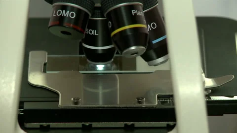 Close up of examining of test sample under the microscope in laboratory. Stock Footage 88821638
