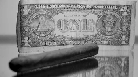 Close up of an expensive cigar and paper money black and white, focus pull Stock Footage 87796819