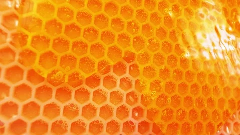 Close-up exploration of honeycomb structure and texture Stock Footage 325037734