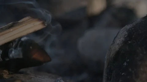 Close up of extinguished campfire Vidéo 90039084