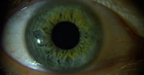 Close-up of Eye 3 in 1 스톡 동영상 86461714