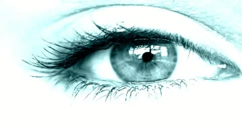 Close up eye blue Video stock 11024108