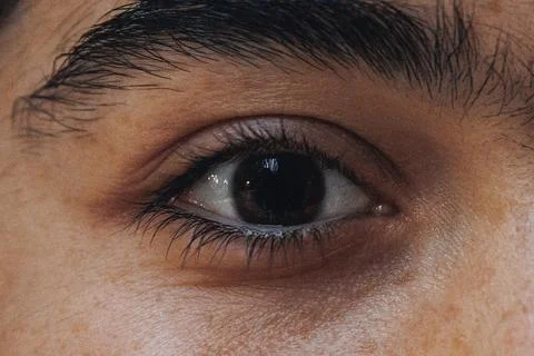 Close-up eye with dark lashes and natural brow Foto stock